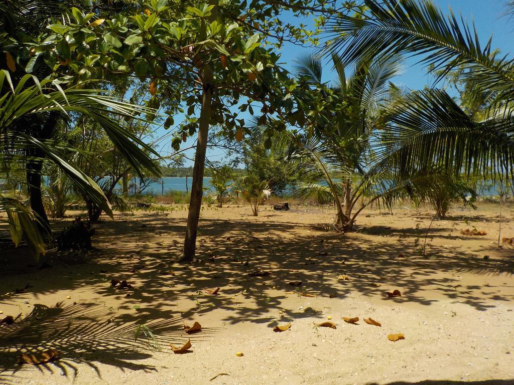 Hotel Reef Pasikudah à Nachivantivu Extérieur photo